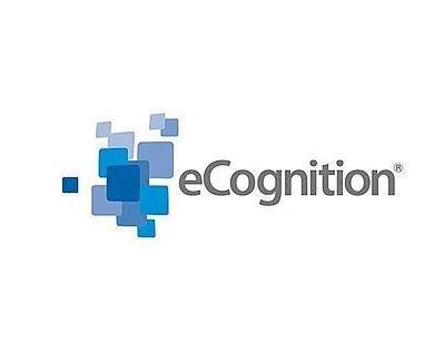 Trimble eCognition object-based image analysis